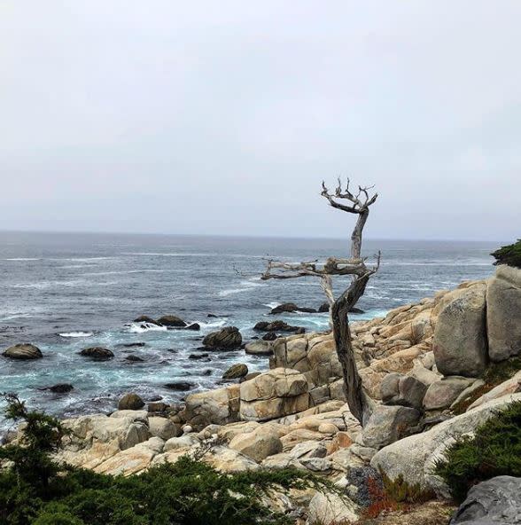Must See Haunts In Monterey County Ca This Halloween