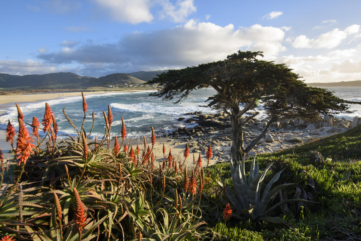 4 Ways CarmelbytheSea Leads the Way Towards Sustainability