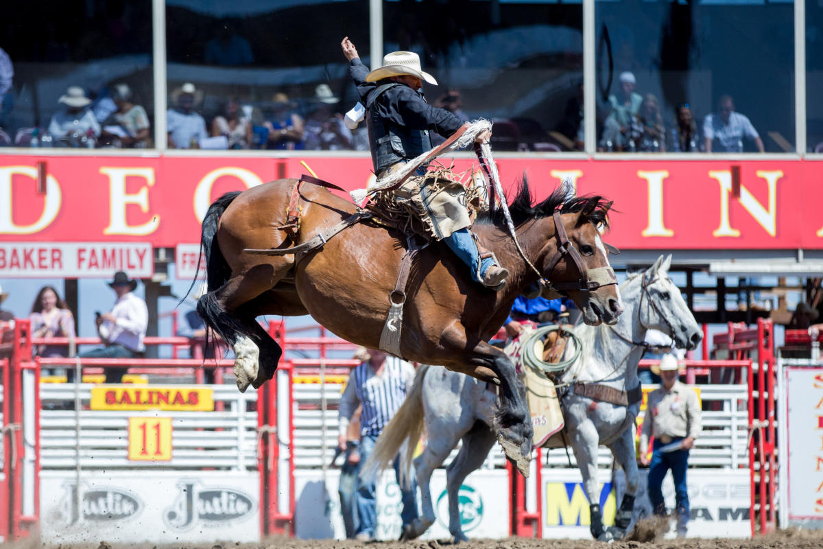Saddle Up for the California Rodeo July 2023, 2017