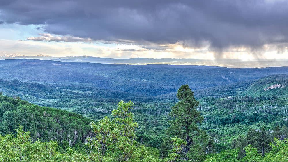 Wilderness Areas and Parks Near Montrose, CO Plateau