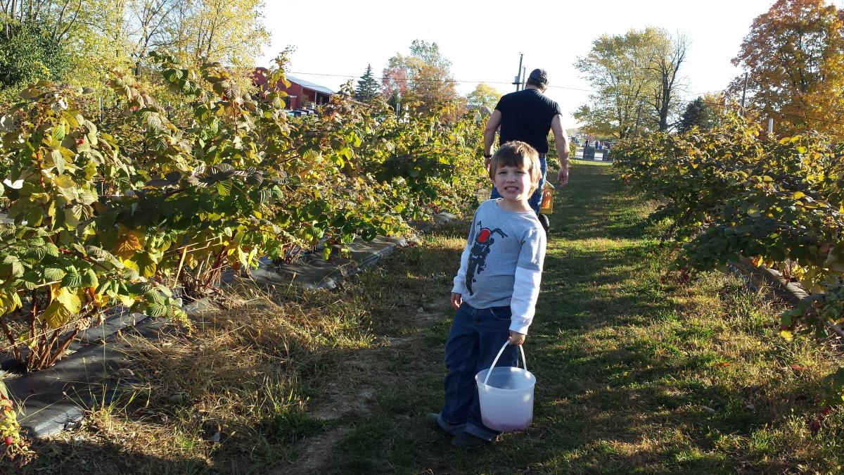 Anderson Orchard Opens