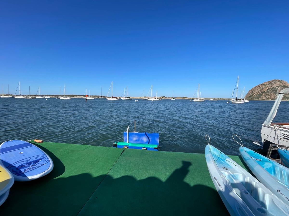 Meet the Ambassadors of Morro Bay!