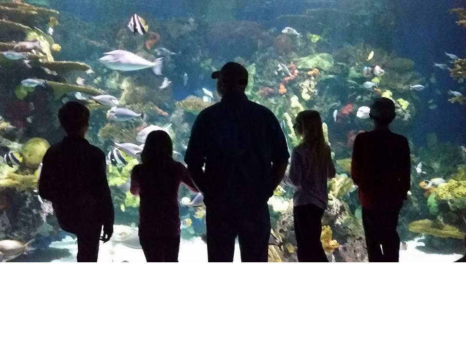 attractions in myrtle beach