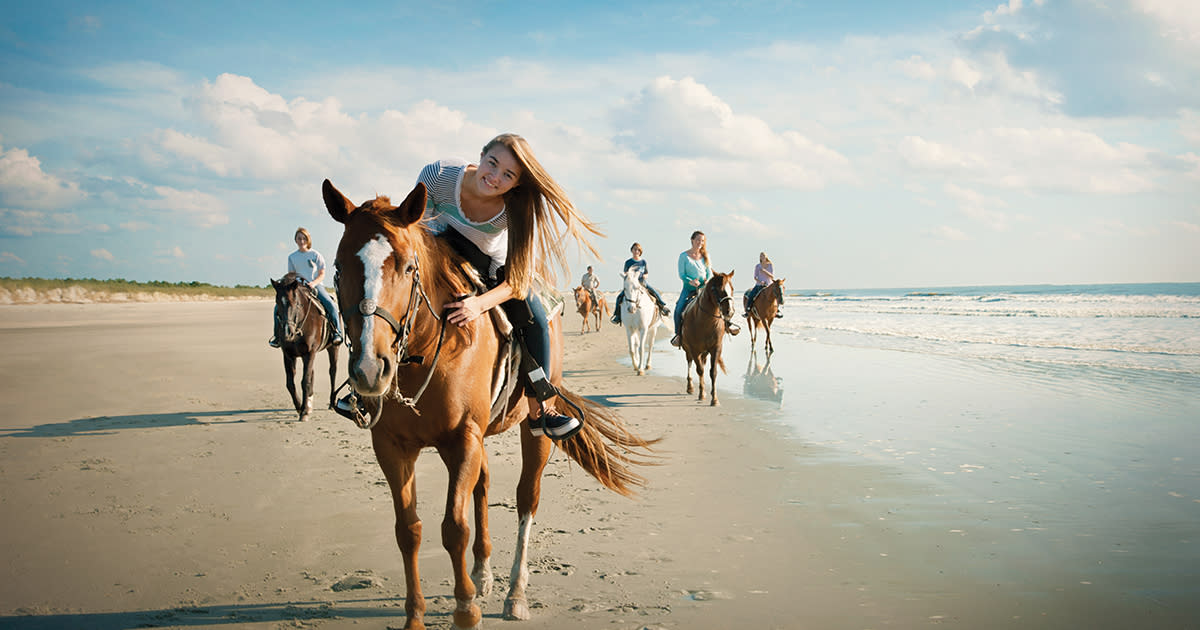 Explore North Myrtle Beach Home Of The Visit Sc Explore North Myrtle Beach Home Of The
