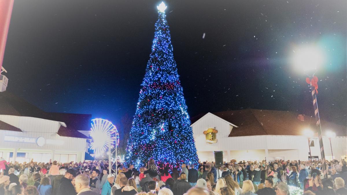 When Is Christmas Parade In Surfside Beach Sc 2022 Magical Christmas Tree Lightings In Myrtle Beach 2021