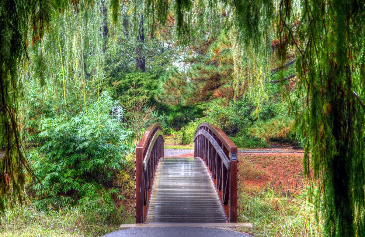 Winners the  All Things Nacogdoches  photo contest announced