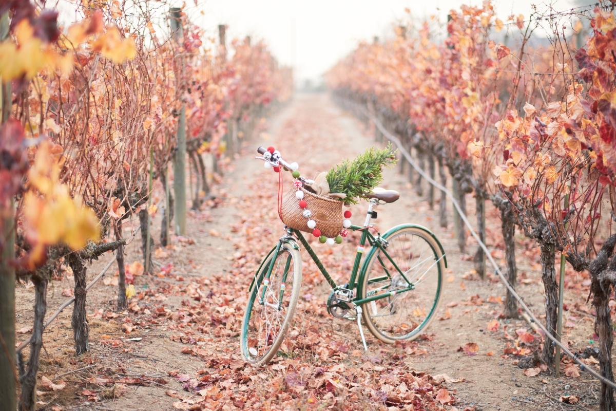 Holiday Events in Napa Valley | Christmas, Hanukkah & New Year's