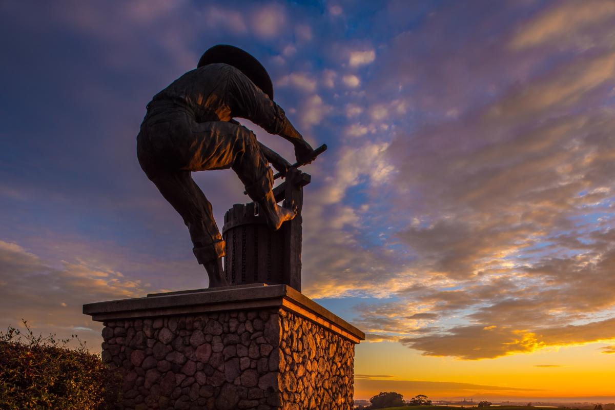 2022 Harvest Grape Stomping and Handson Tours The Visit Napa Valley Blog