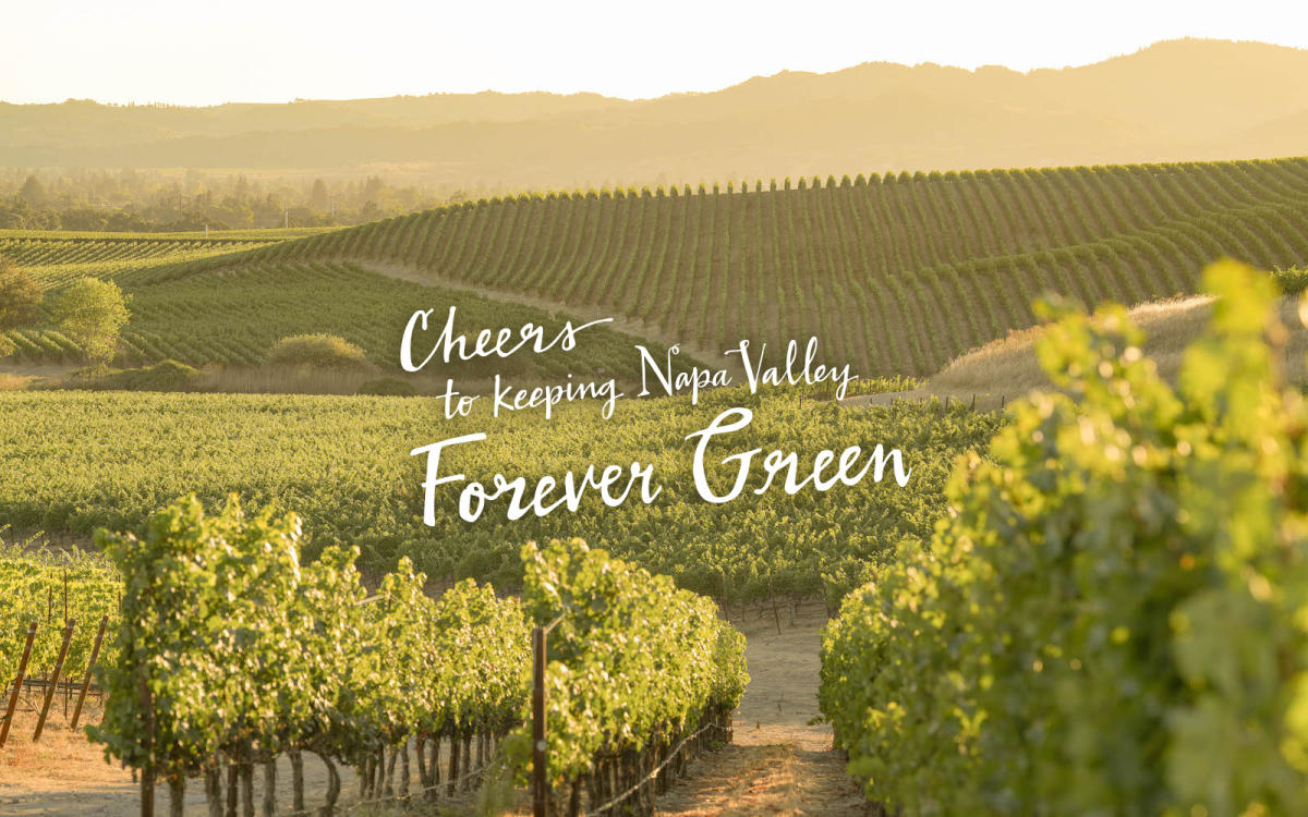 Sustainable Travel | Keeping Napa Valley 