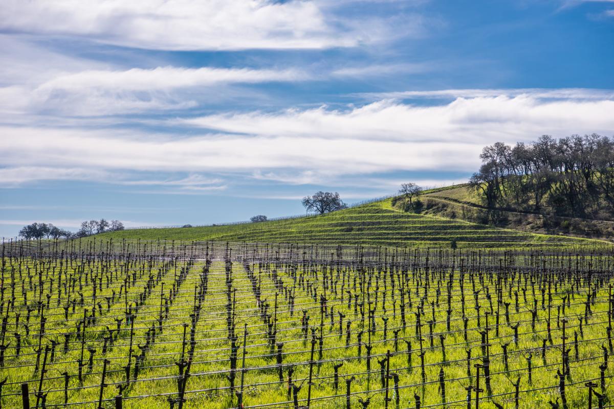 Winter In The Wineries Passport Offers Unique Calistoga Wine Tasting Experiences The Visit Napa Valley Blog