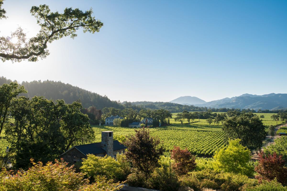 Napa Valley Town Guide: St Helena The Visit Napa Valley Blog
