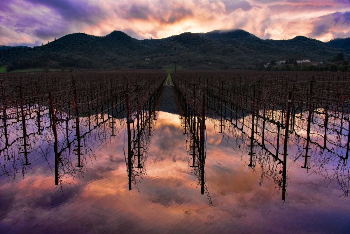Things To Do On Rainy Days In Napa Valley Visit Napa Valley Blog