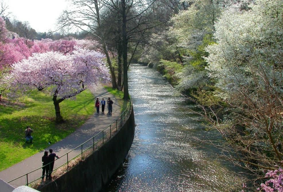 Parks in Newark, NJ | Scenic City Parks & Cherry Blossom Views
