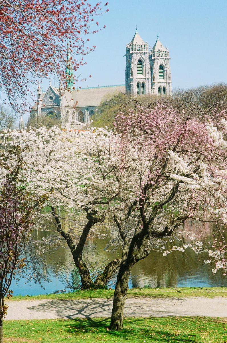 Newark, NJ Blog | City Stories, Culture Highlights & Local Voices