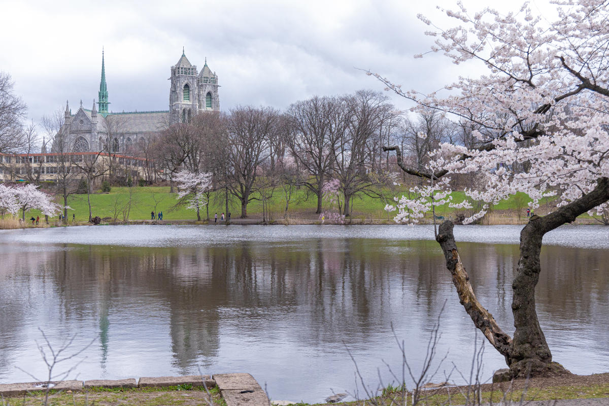 Quick Guide to Newark's Festival Season