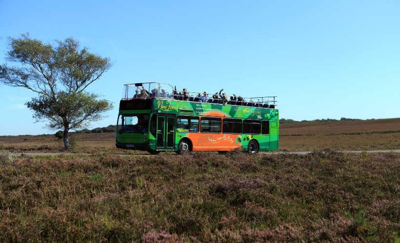 new forest bus tours 2023