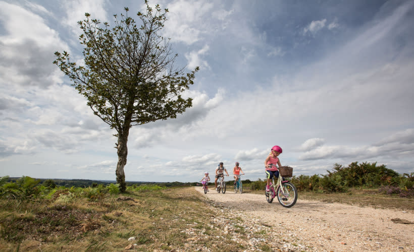 Biking holidays online