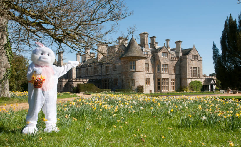 Celebrate Easter in the New Forest