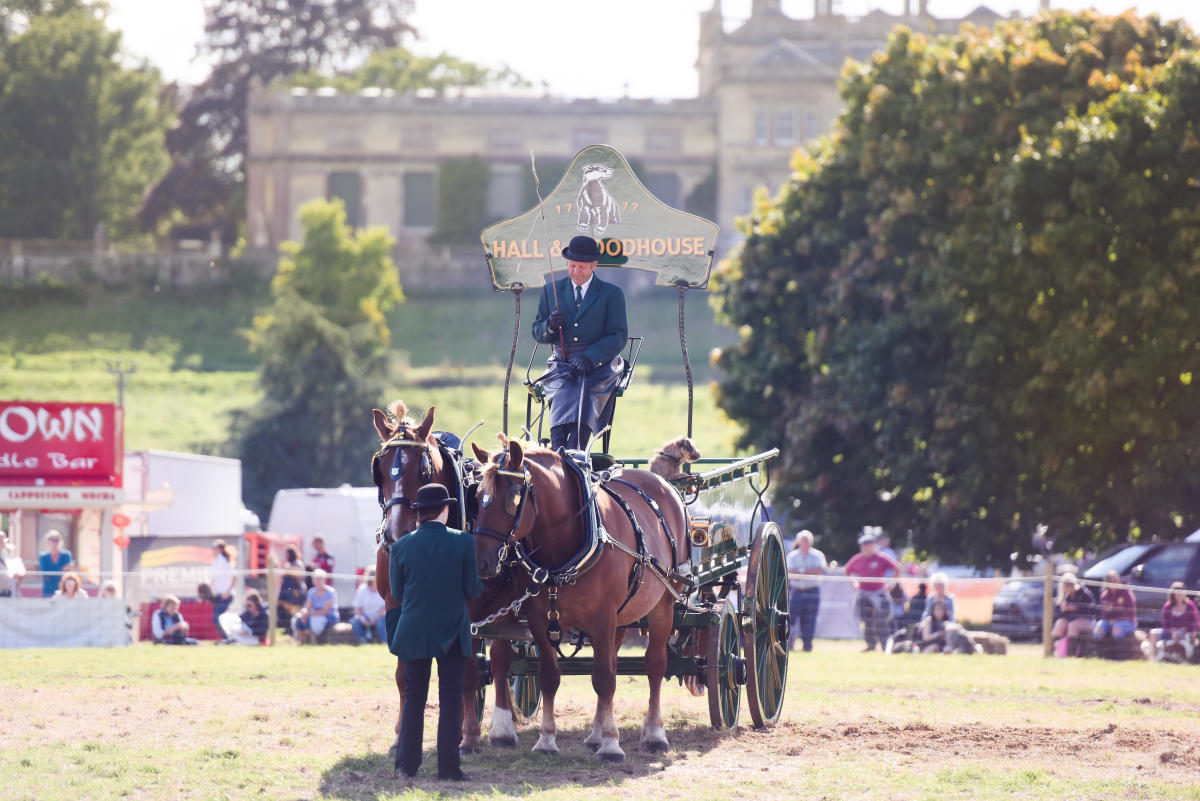 What's On in The New Forest Events & Festivals