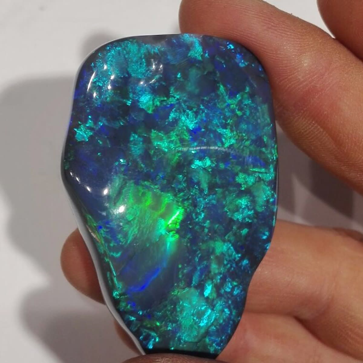 “The Wonderful World of Opals” Opens at the New Mexico Museum of