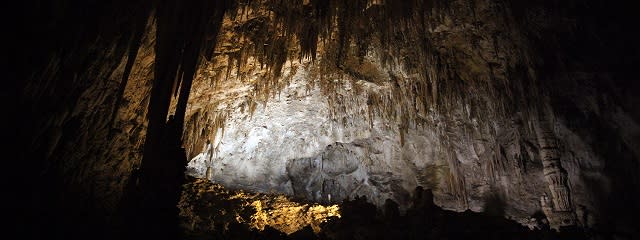 Carlsbad, NM | Explore the Pearl on the Pecos