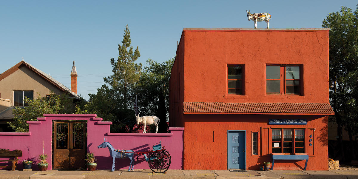 The Donkeys of Carrizozo