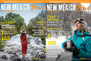 New Mexico True Adventure Guide
