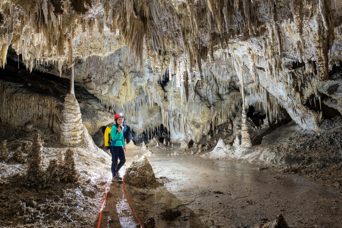 Explore Outdoor Activities at Carlsbad Caverns National Park in New Mexico