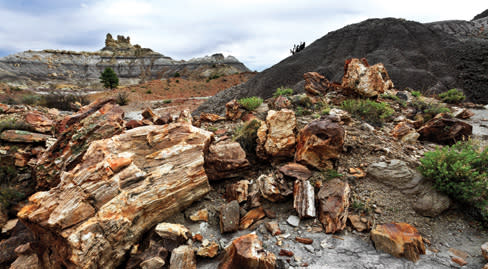 Badlands Walkabout