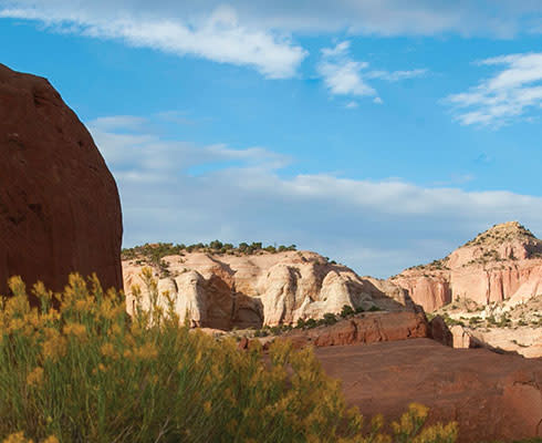 Western Nm Road Trip