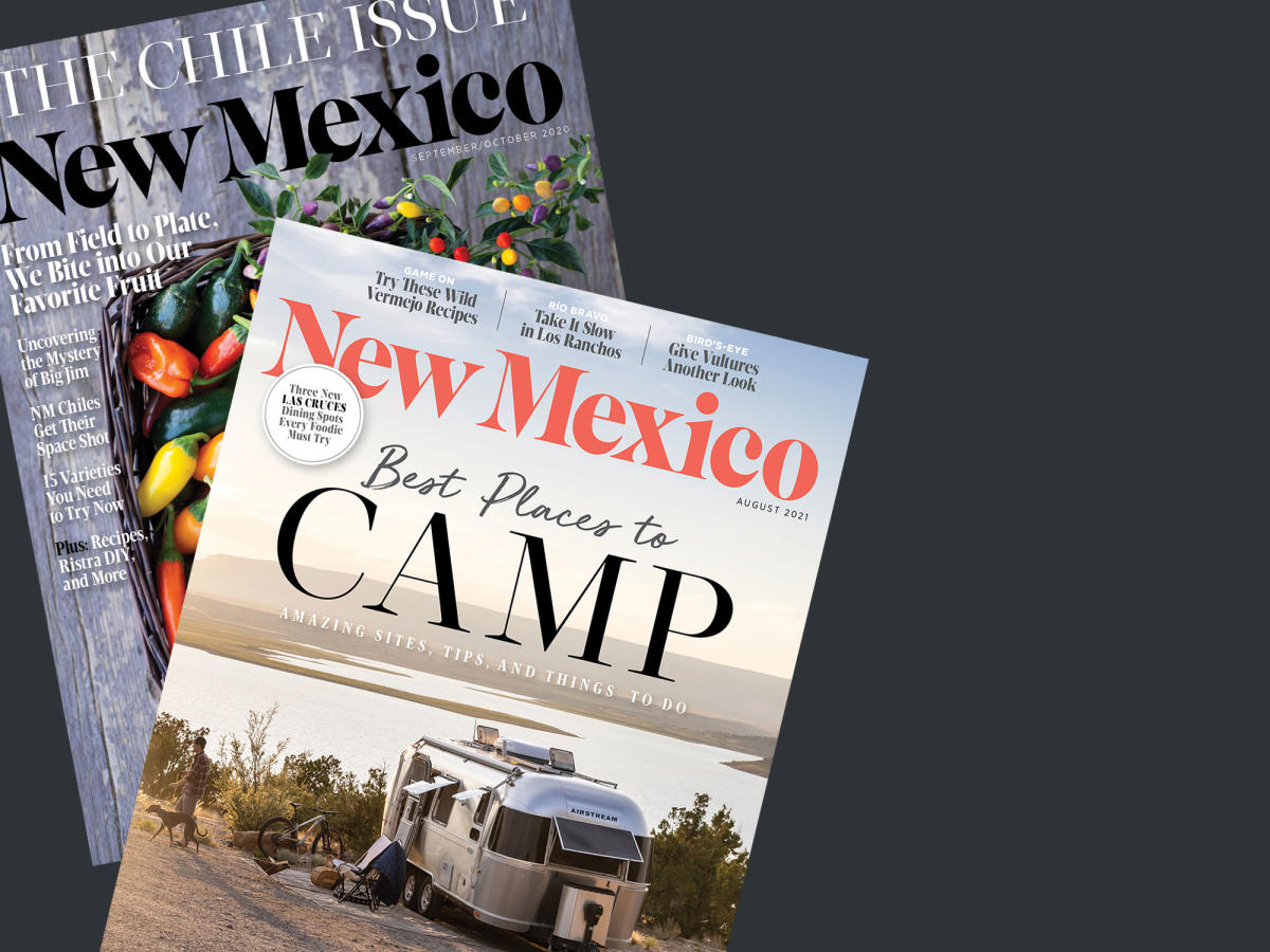 New Mexico Magazine named Runner Up for Magazine of the Year by IRMA