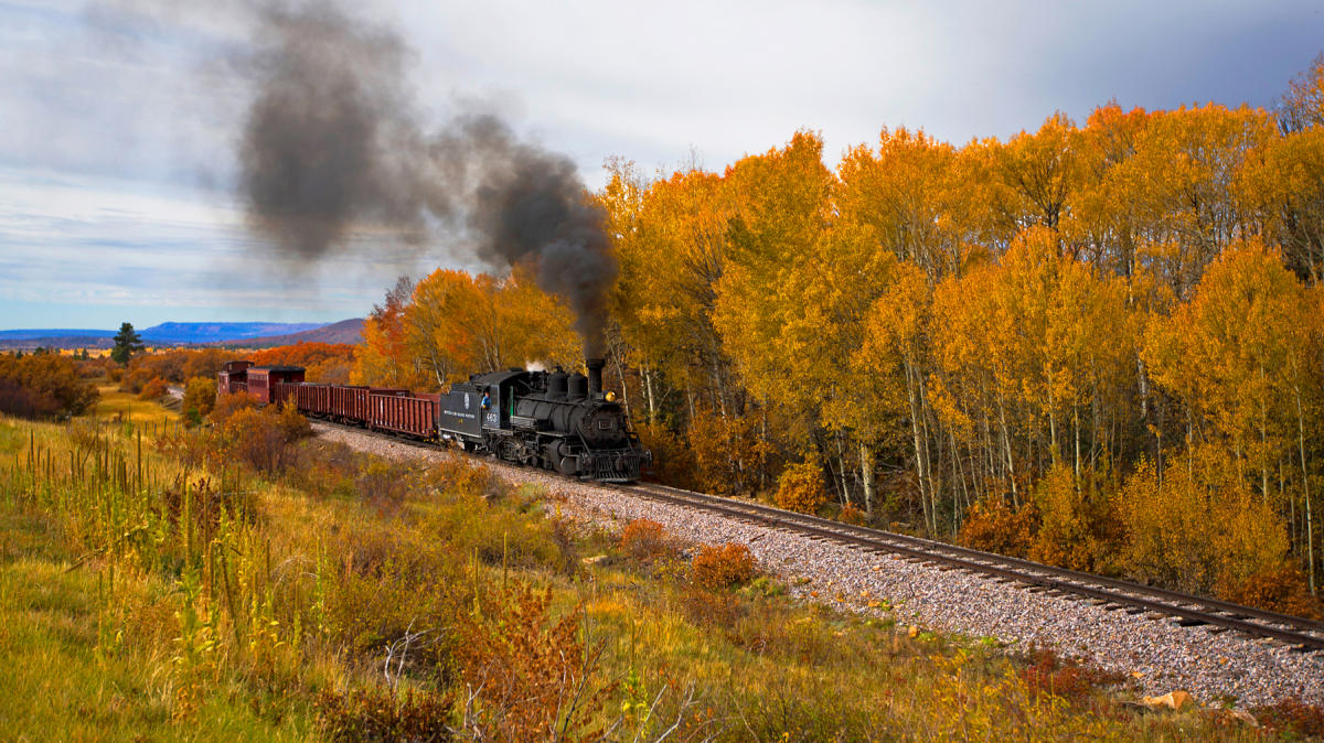 Best Places to View Fall Foliage in New Mexico