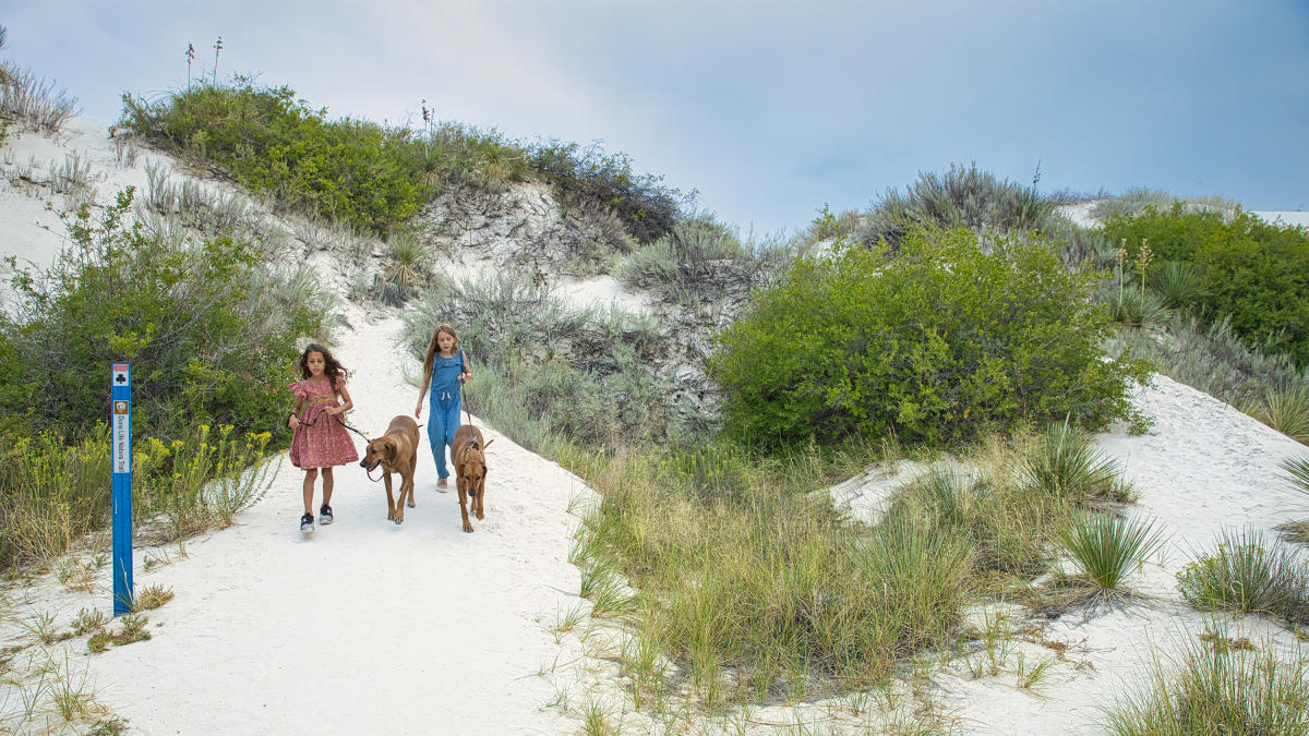 Best Hiking Trails At White Sands National Park
