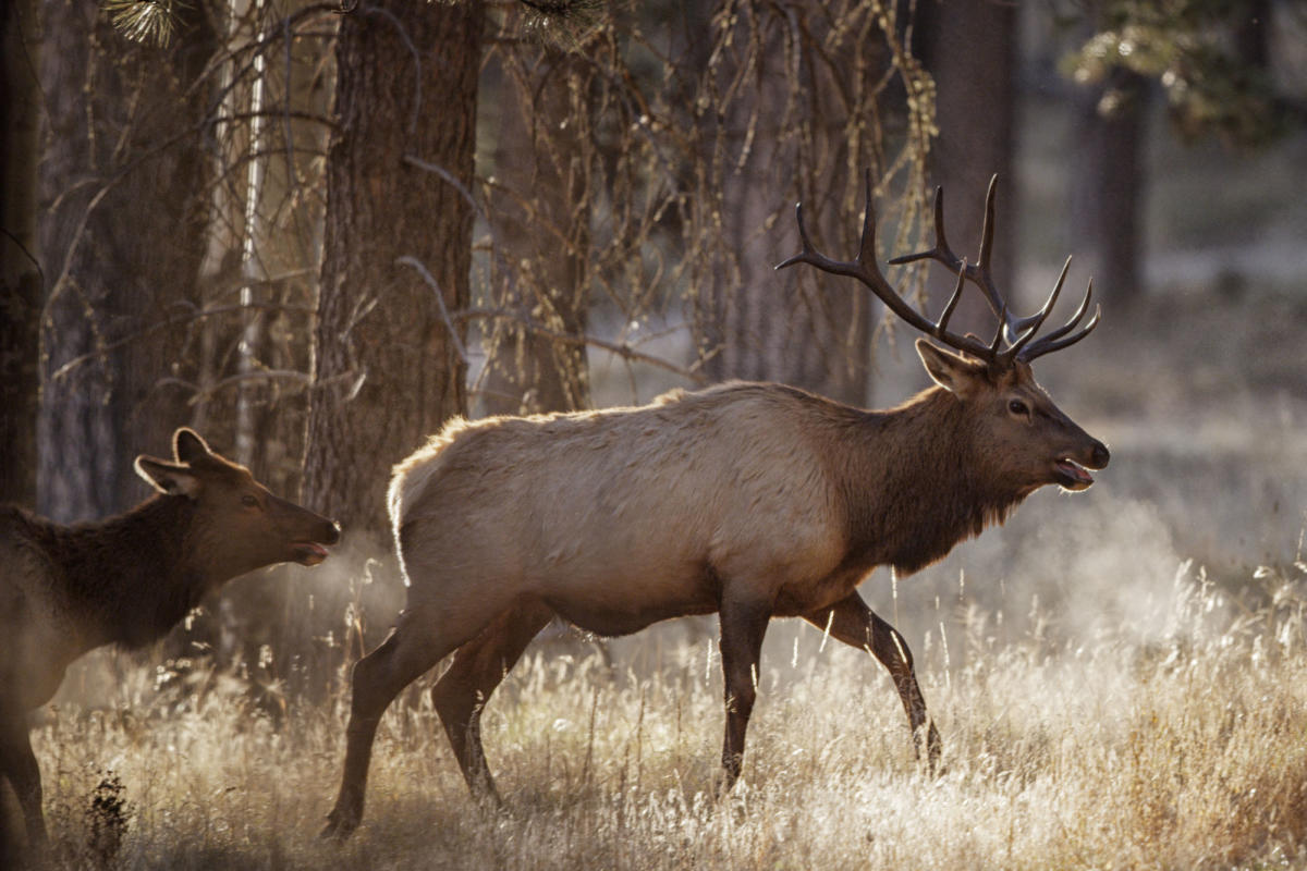Outdoor Activities In New Mexico | Camping, Hiking & Biking