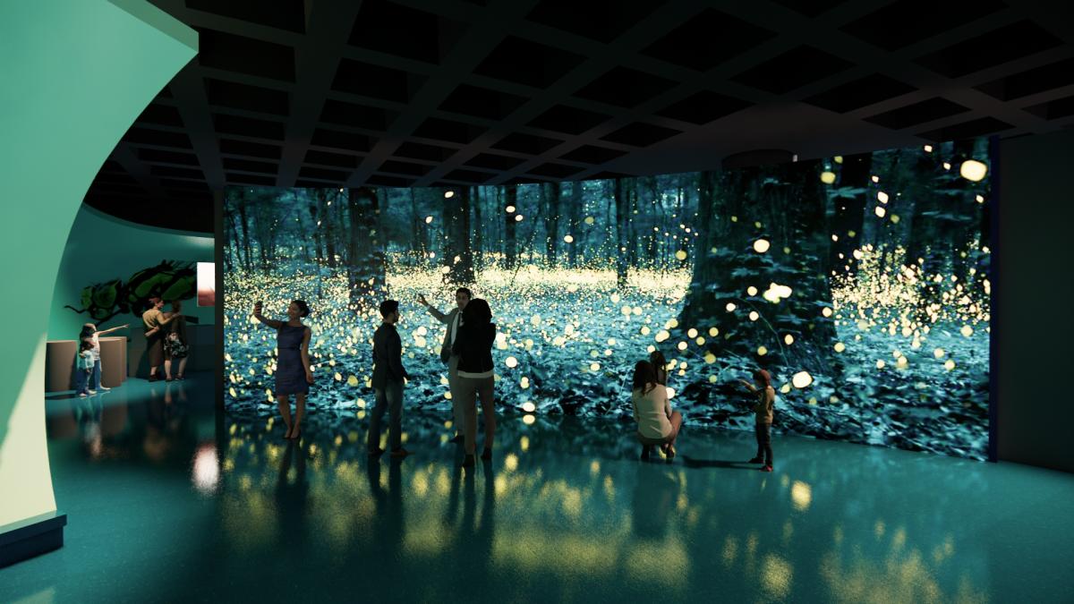 Audubon Attractions in New Orleans | Zoo, Aquarium \u0026 More, image size:1200x675