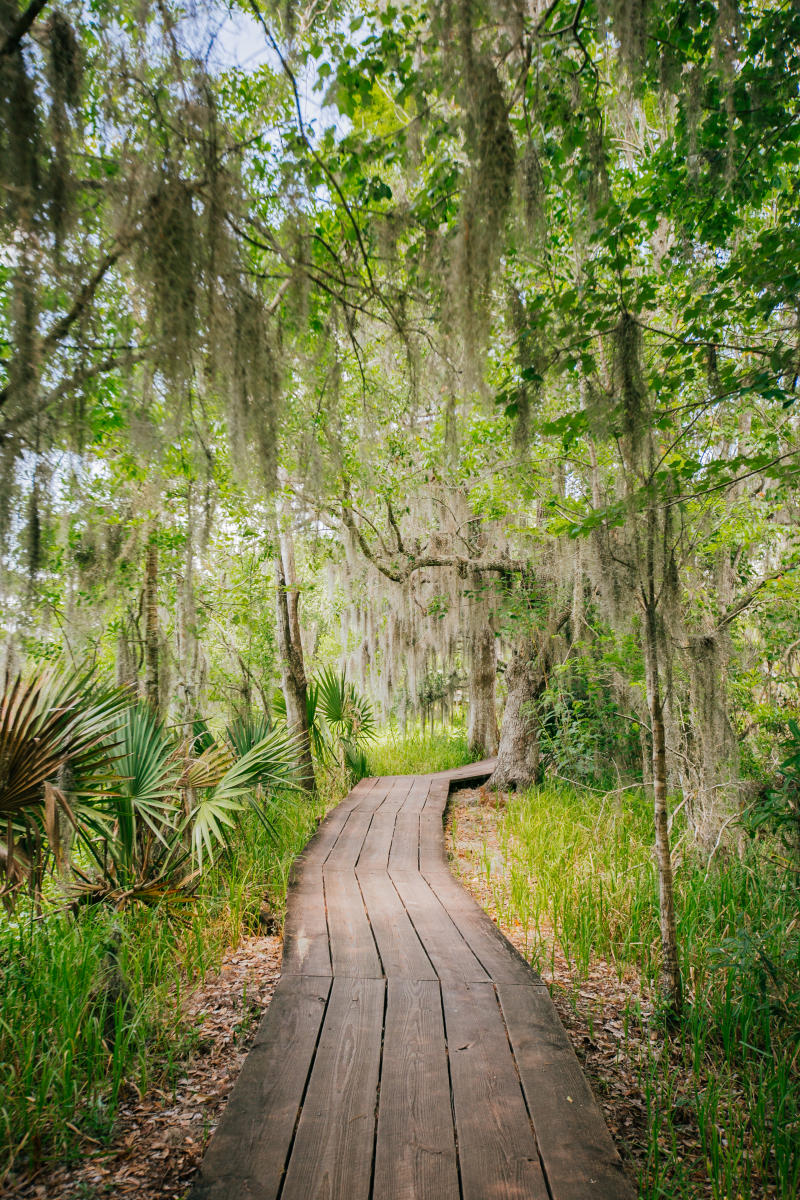 The Best Hiking Trails New Orleans