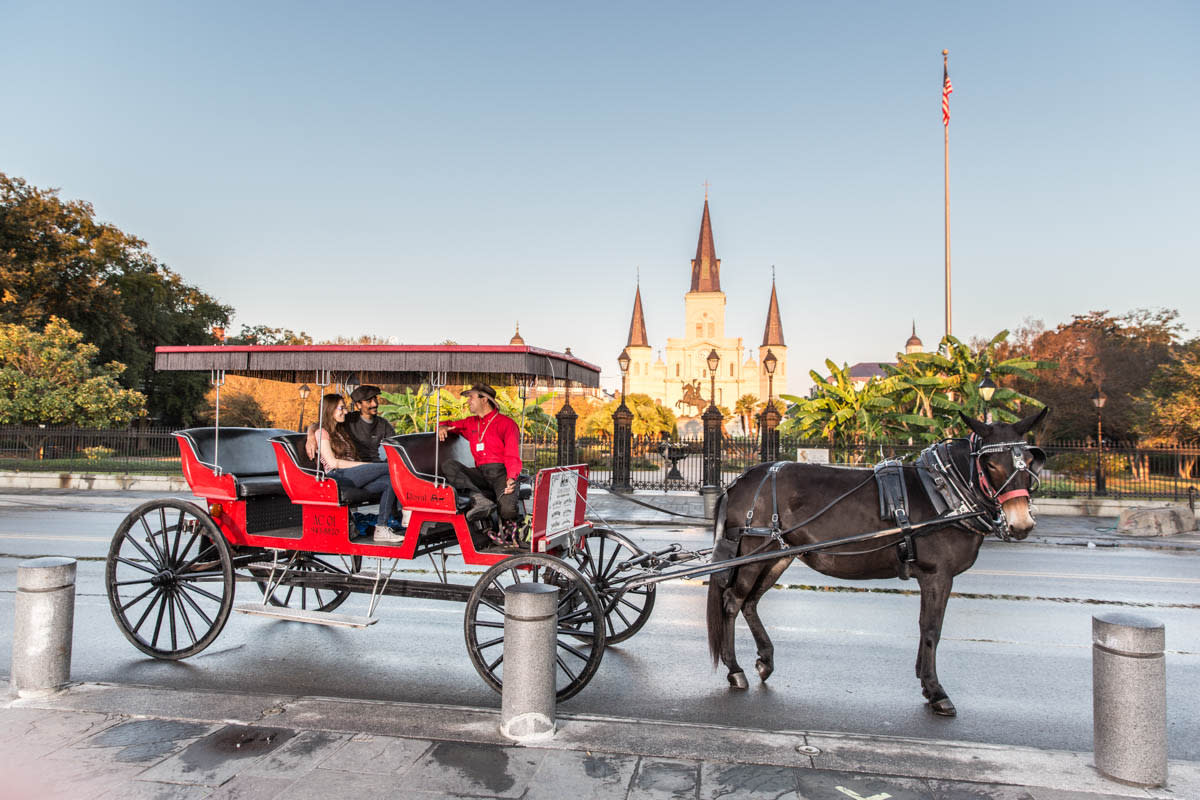 Transportation In New Orleans Wedding