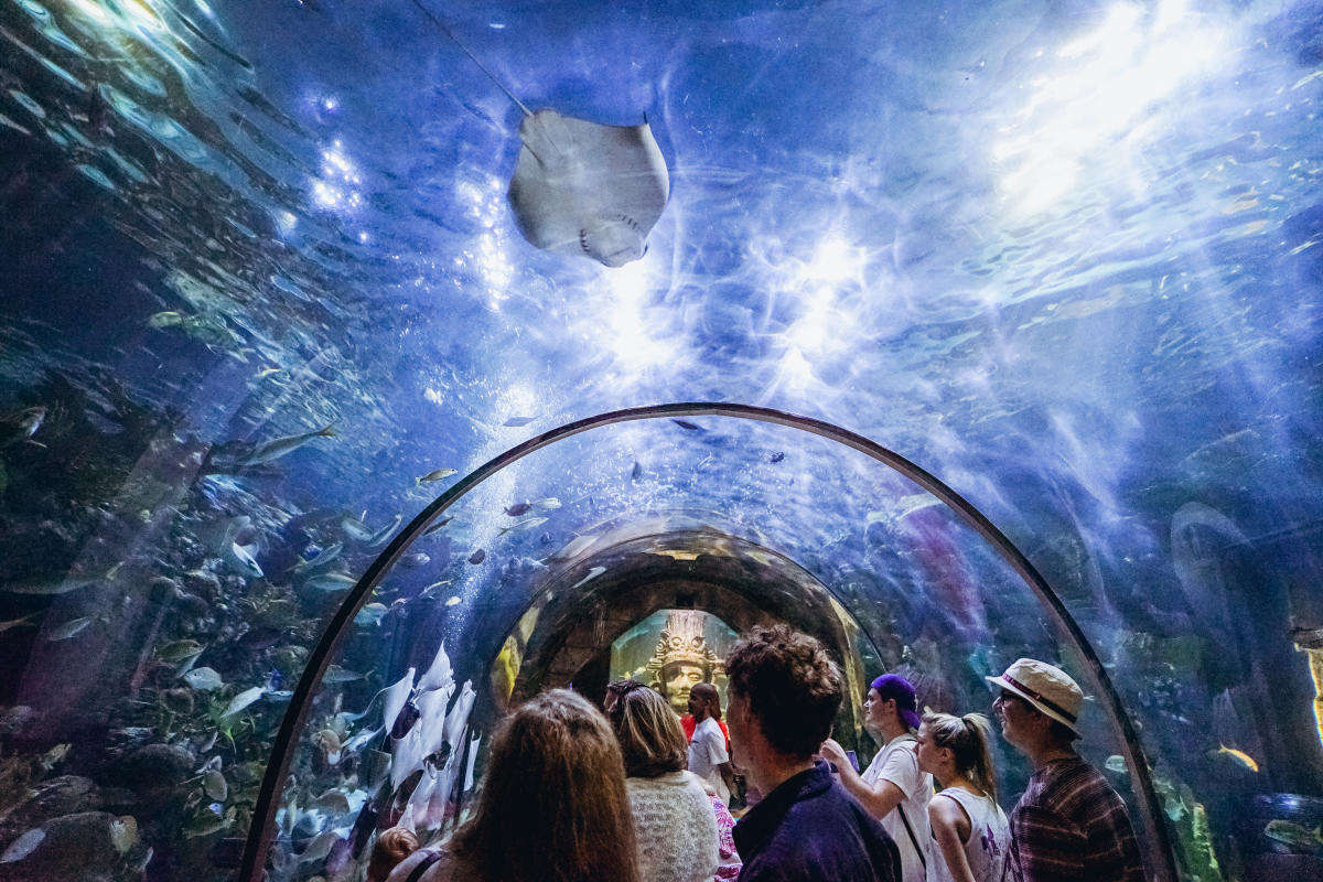 TOP 20 THINGS TO DO visual data 6