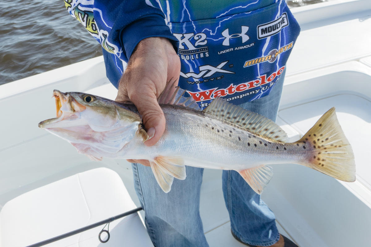 Louisiana Catch and Cook New Orleans