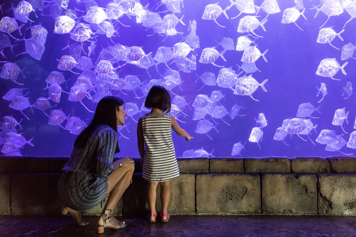 New Orleans Boredom Busters For Kids