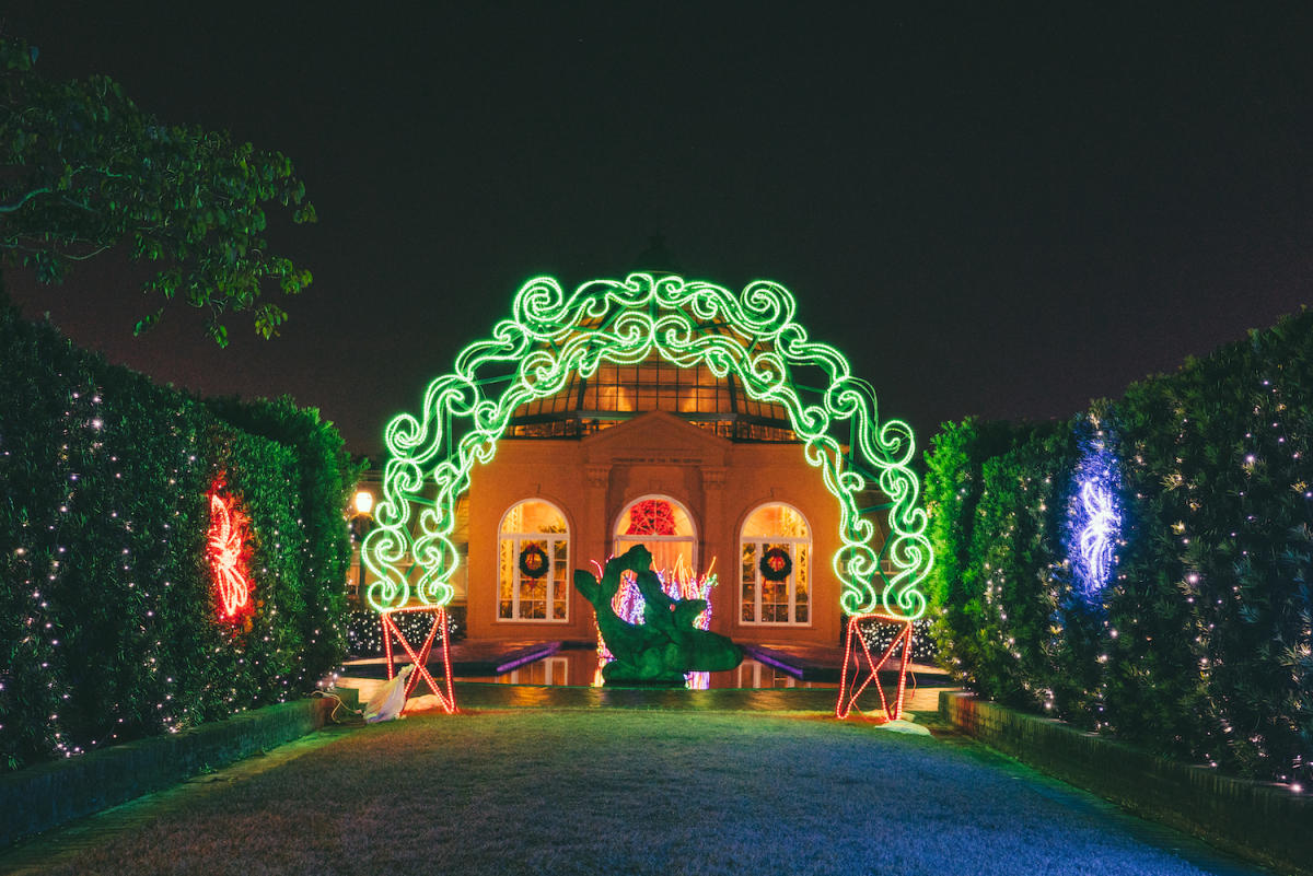 Top Things to Do Near Celebration in the Oaks | New Orleans ...