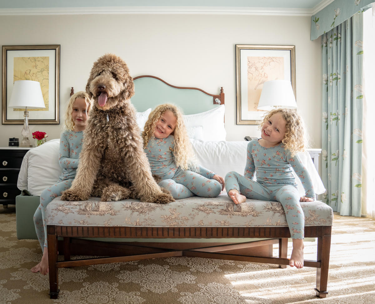 Top Pet Friendly Hotels New Orleans