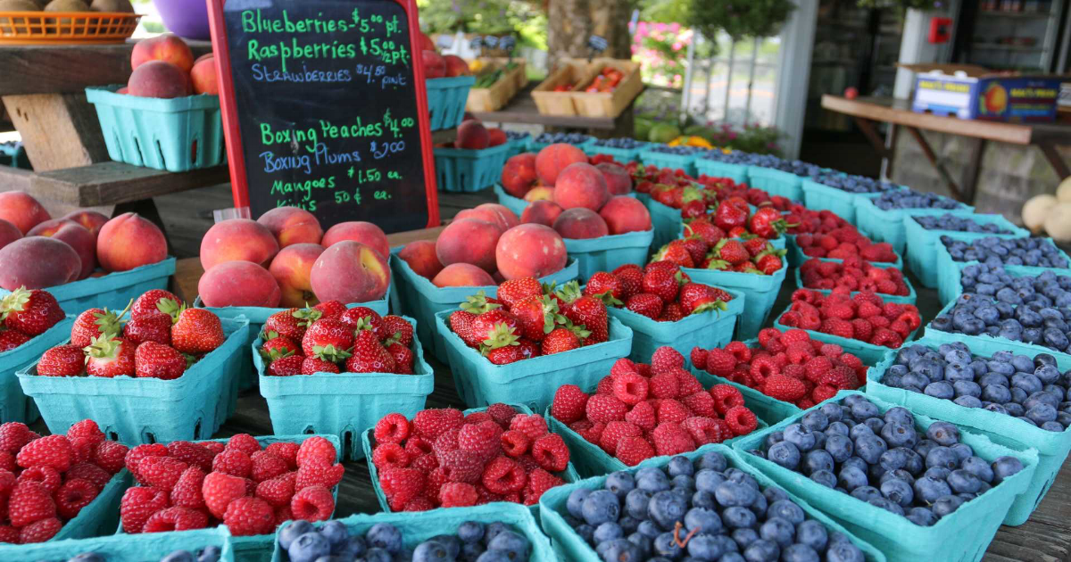 Farms in Newport RI | Find Fresh Food & Flowers in Bristol ...