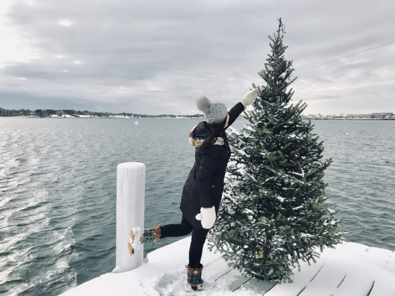 Tree Lightings In Newport Discover Newport Rhode Island