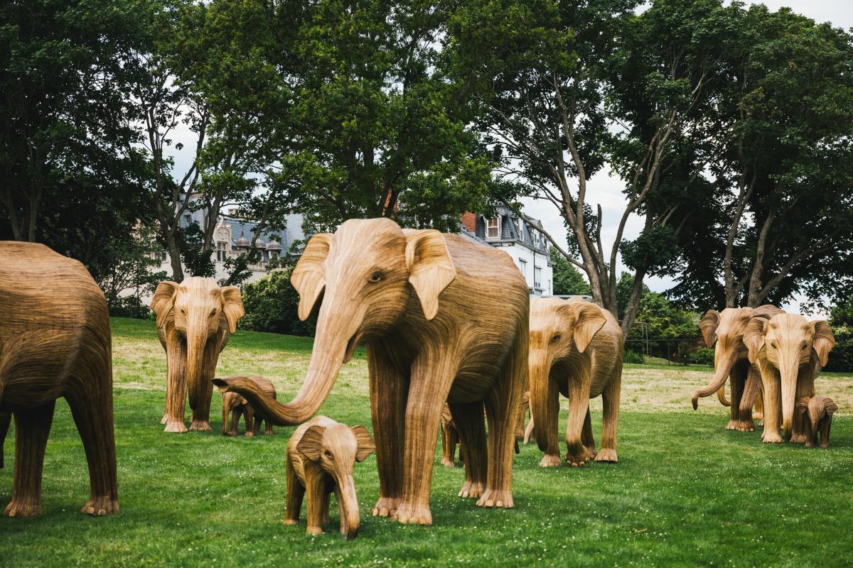 The Great Elephant Migration is Coming to Newport 100 LifeSized