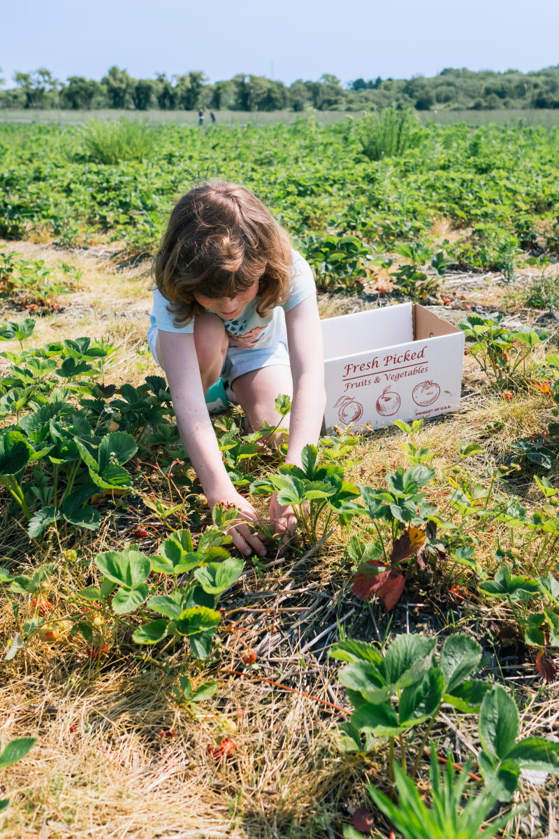 Pick Your Own Farms in Newport Discover Newport, Rhode Island