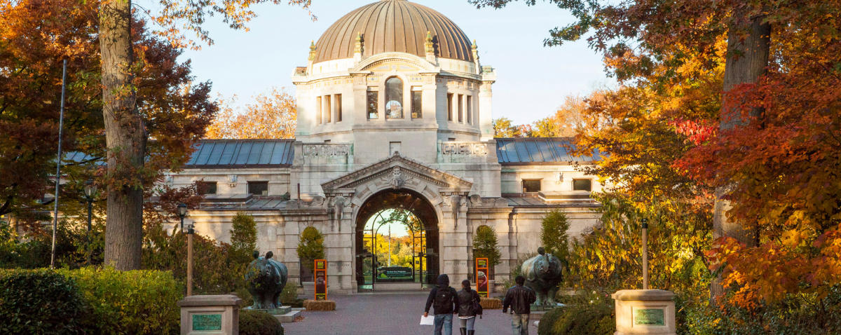 Explore New York City: Iconic Attractions & Things To Do