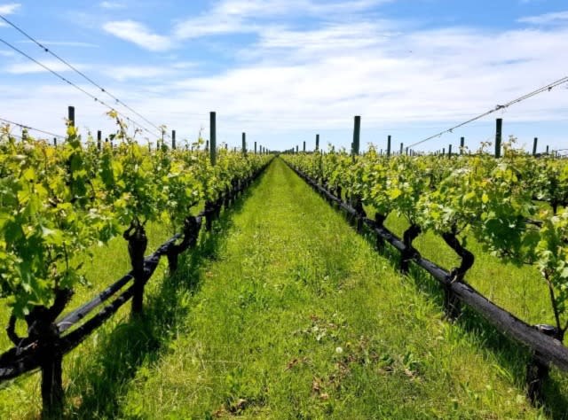 new york winery tours