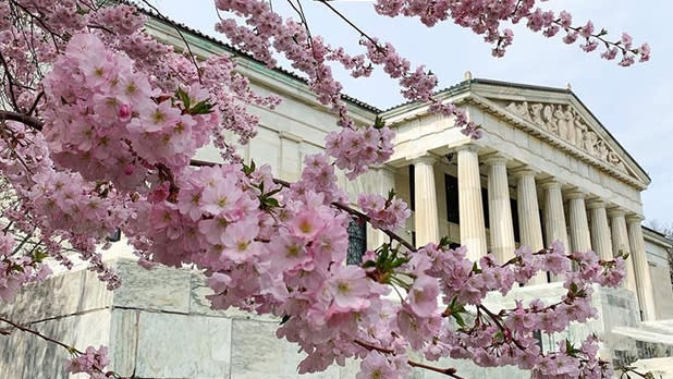 19 Things to Do in April 2026 in New York State - ILoveNY.com