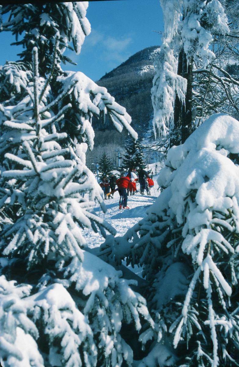 Cross Country Skiing In New York Things To Do In Winter